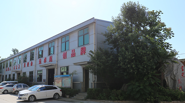 九一抖音免费版实验中心